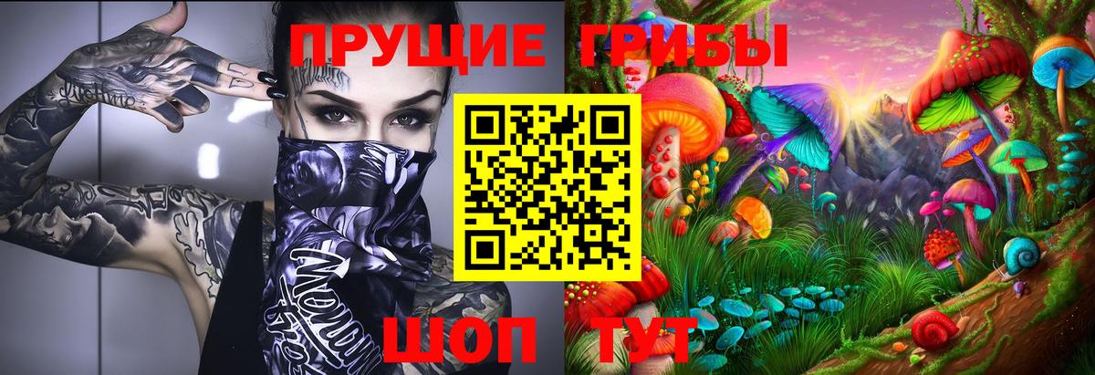Саянск  Псилоцибиновые грибы Cubensis  Галлюциногенные грибы Psilocybe  Вход с VPN 
